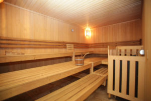 EIne Sauna bei Effective Fitness im Seidnitz-Center