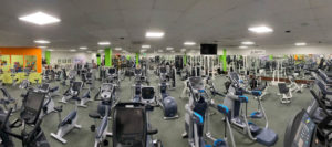 Große Auswahl an Trainingsgeräten bei Effective Fitness im Seidnitz-Center