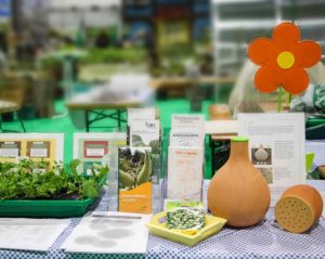 Auf einem Tisch mit kariertem Tischtuch sind Gegenstände rund um das Thema Saat und Anzucht ausgestellt, darunter Tütchen mit Samen, ein bewachsener Anzuchtkasten und Bewässerungshilfen aus Ton. Auf einem Tisch mit kariertem Tischtuch sind Gegenstände rund um das Thema Saat und Anzucht ausgestellt, darunter Tütchen mit Samen, ein bewachsener Anzuchtkasten und Bewässerungshilfen aus Ton.