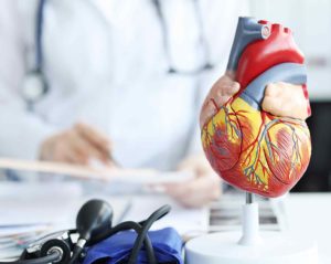 Auf einem weißen Schreibtisch steht das Modell eines menschlichen Herzens. Daneben liegt eine Blutdruckmanschette. Im Hintergrund sitzt ein Arzt und studiert Informationen auf einem Klemmbrett.