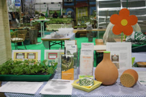 Auf einem Tisch mit kariertem Tischtuch sind Gegenstände rund um das Thema Saat und Anzucht ausgestellt, darunter Tütchen mit Samen, ein bewachsener Anzuchtkasten und Bewässerungshilfen aus Ton.
